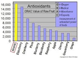 Aronia In America Health Benefits Of Aronia Berries