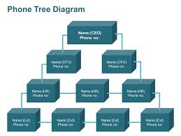 Phone Tree Diagram
