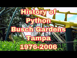 python roller coaster busch gardens