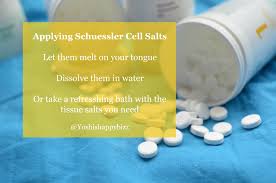 Image result for cELL SALTS 
