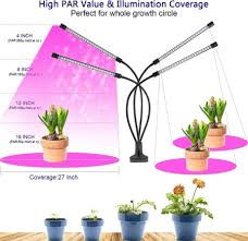 Select a plant with requirements that match the light environment in your home or office. Grow Lights Plant Lights For Indoor Plants 40w 80 Led Lamp Bulbs Growing Lamp For Plants Growth With 3 9 12h Timer 10 Dimmable Level 3 Switch Red Blue Modes Full Spectrum Buy Grow