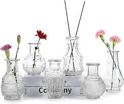 Hyckee Glass Bud Vase Set Of 6 Small