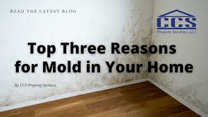 Top Three Reasons For Mold In Your Home