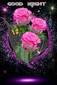 Awesome Flowers. - Good Night everyone 😴 Sweet dreams ♥️🙏 | Facebook