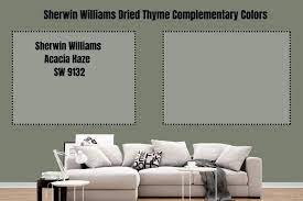 Sherwin Williams Dried Thyme Palette