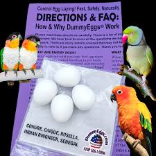 plastic bird eggs control egg laying