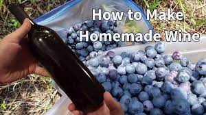 how to make homemade wine blueberry wine