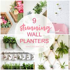 Wall Planters Easy Decor Ideas