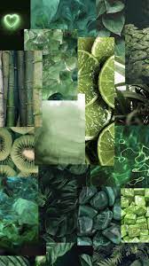 Green Aesthetic Plant Wallpapers posted ...