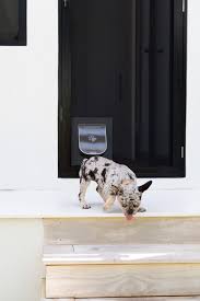Dog Doors Cat Flaps For Security