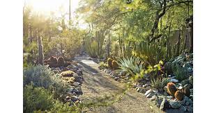 arizona finds tucson botanical garden