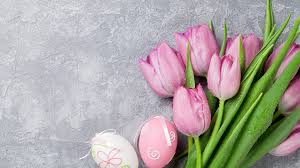 Ausmalbilder der hauptattribute von ostern. Desktop Hintergrundbilder Ostern Eier Tulpen Rosa Farbe 1920x1080