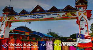 In 1997, sungai udang started to rapidly develop. Melaka Tropical Fruit Farm Tempat Menarik Di Melaka Tempat Menarik