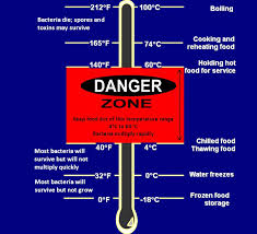 What Is Temperature Danger Zone And How To Avoid Thermopro