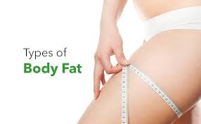 types of body fat synergy wellness