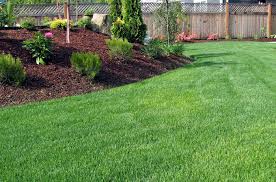 Families in massachusetts and rhode island trust and depend on simply safer lawn care as the lawn care company providing the best in professional lawn care service. An Organic Lawn Care Company Located In Southern New Hampshire