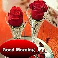 Flower good morning images wallpaper pictures free new with red rose. Good Morning Flowers Images Free Download For Whatsapp Video Wallpapers 4 Images