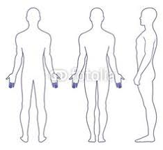 Male body front and back male body in underwear, front and back view. 8 Forms Ideas Body Outline Human Body Body Diagram