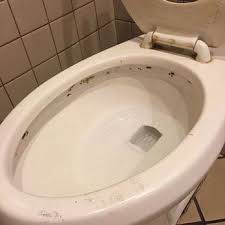 Remove Black Mold From Toilet Bowl