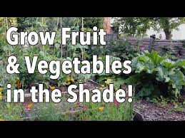 Grow Fruit And Vegetables In The