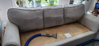 expert couch steam cleaning services