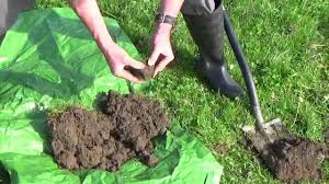how to ess clay loam soils brought