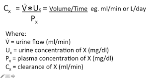 Glomerular Filtration Rate And Renal