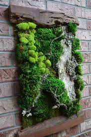 moss wall indoor gardens