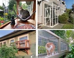 Catios For Small Spaces Catio Spaces