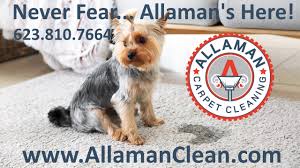 allaman carpet cleaning goodyear