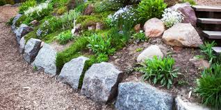 17 Low Maintenance Garden Border Ideas