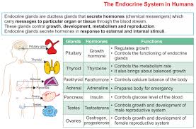 Icse Solutions For Class 10 Biology The Endocrine System