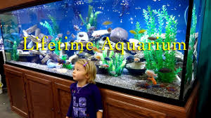 Don't forget to subscribe, like, share, and comments. Custom Aquariums Glass Fish Tanks Diy Aquariums Saltwater Aquariums