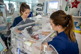 A Day In The Life Of A Nicu Nurse Queensland Health