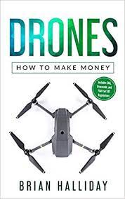 drones how to make money halliday