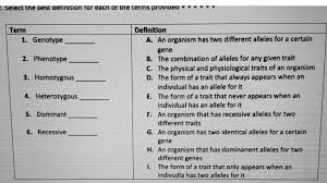 an organism has two diffe alleles