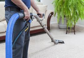 carpet cleaning service grabone nz