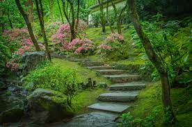 From Moss to the Machiai - The Natural Garden, a Silent Wonderment –  Portland Japanese Garden