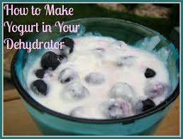 how to make lactose free yogurt in your
