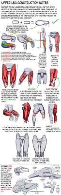 Cramps in the inner thigh, or groin, are also common. Thigh Construction Tutorial By Nemonova On Deviantart Anatomy Reference Leg Anatomy Drawing Legs