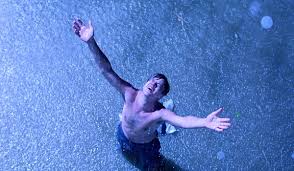 The shawshank redemption is a 1994 american drama film written and directed by frank darabont and starring tim robbins and morgan freeman. 10 Perfect Moments From The Shawshank Redemption Cinemablend