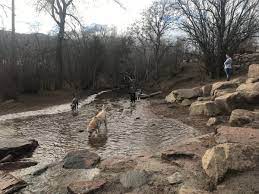 bear creek dog park colorado springs