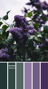 Purple is a combination of red and blue with the hex code #800080, a secondary color in the color wheel. Green And Purple Colour Combination Green And Purple Together