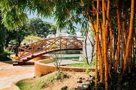 Premium Photo Wooden Bridge In A Park
