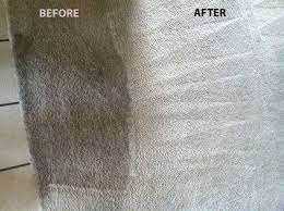 upholstery cleaning all green carpet