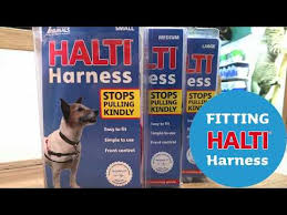 Petstop Sizing And Fitting Halti Harness Youtube