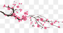 It is a very clean transparent background image and its resolution is 360x710, please mark the image source when quoting it. Sakura Png Sakura Tree Sakura Branch Sakura Transparent Sakura Black And White Cleanpng Kisspng