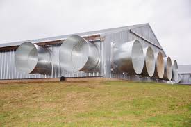 For quality layer house material with modern designs at unparalleled prices, look no further than alibaba.com. Optimal House Ventilation For Poultry And Pig Houses