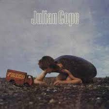 julian cope fried 2016 cd discogs