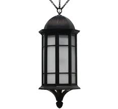 Transitional Outdoor Hanging Light